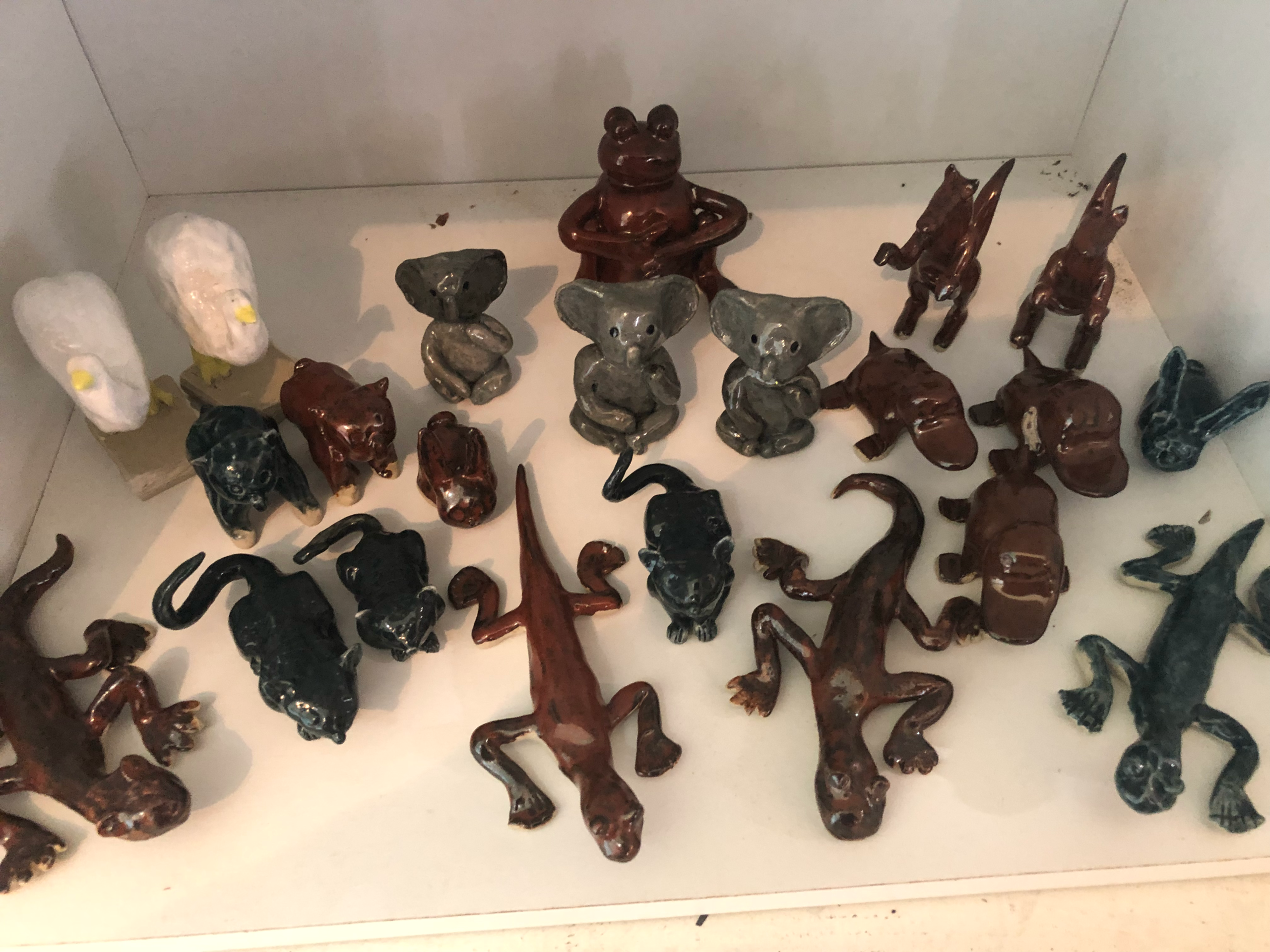 Animals